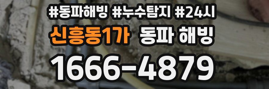 신흥동1가 동파