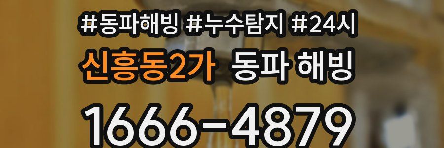 신흥동2가 동파