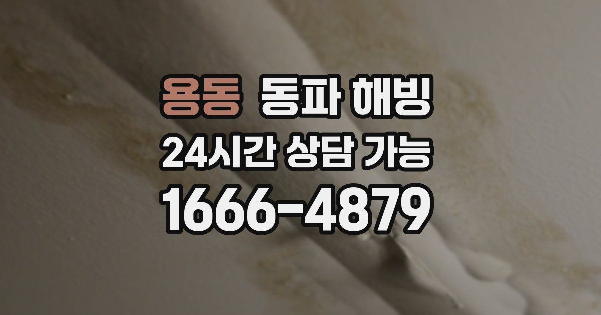 용동 동파 해빙