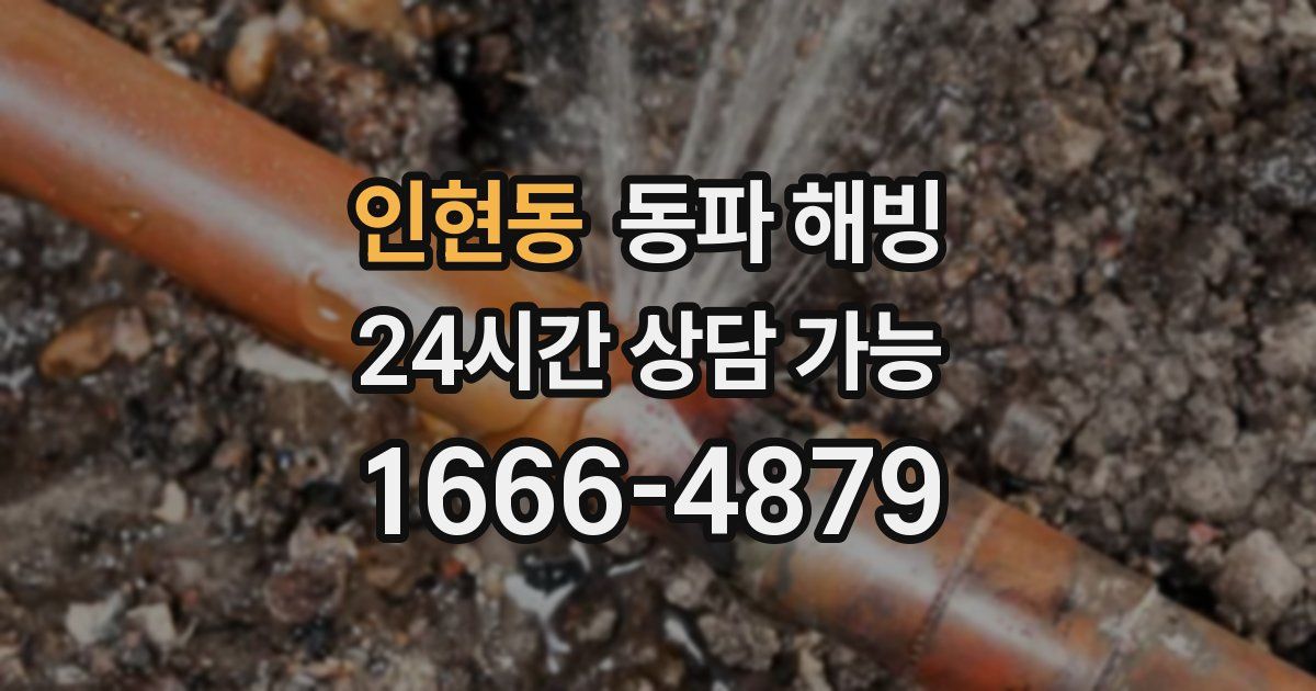 인현동 동파 해빙