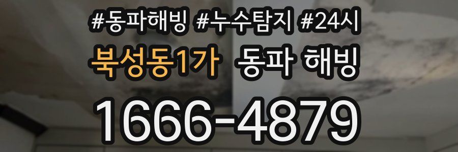 북성동1가 동파