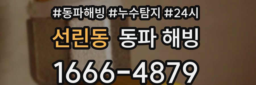 선린동 동파