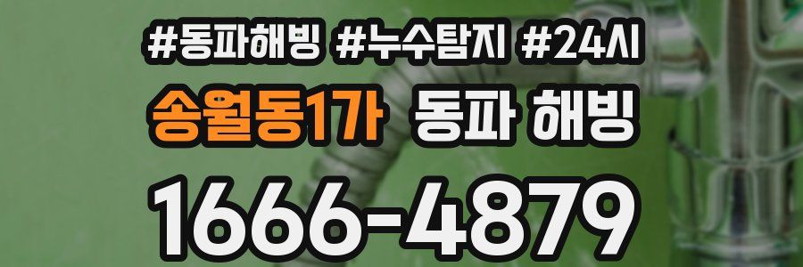 송월동1가 동파