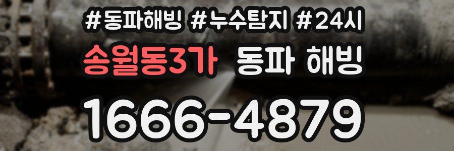 송월동3가 동파