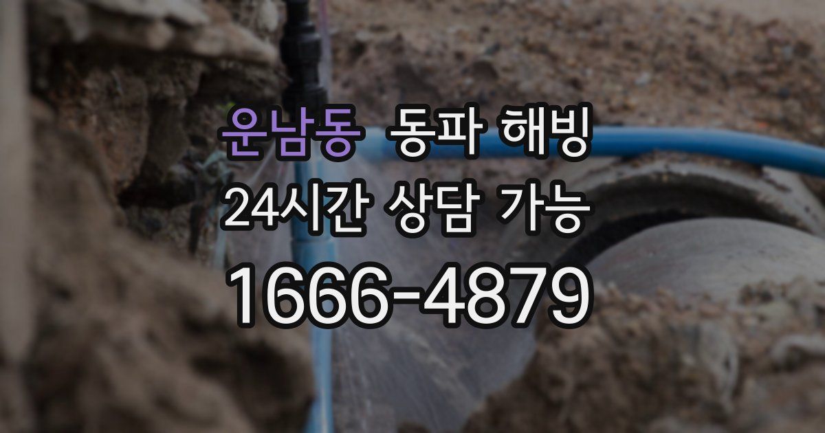 운남동 동파 해빙