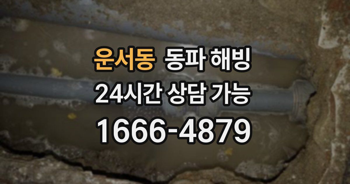 운서동 동파 해빙