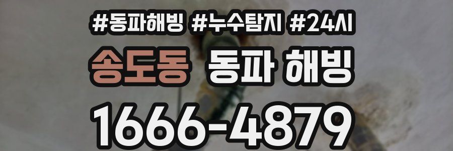 송도동 동파