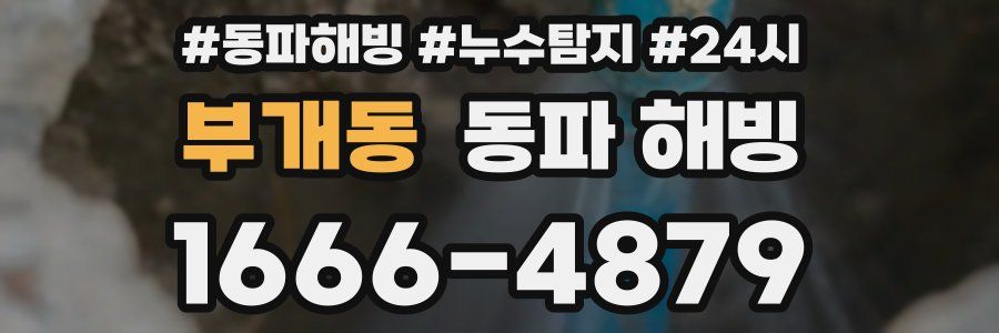 부개동 동파