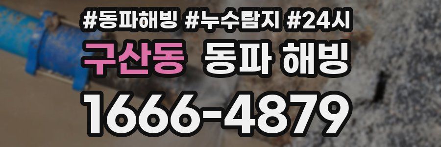 구산동 동파