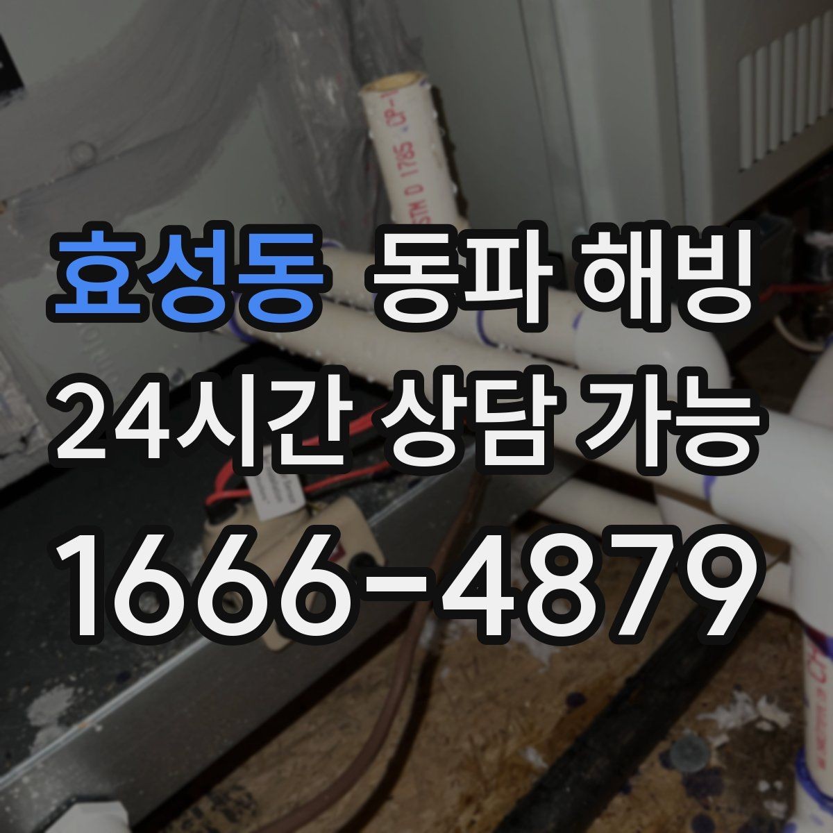 효성동 동파 해빙 세대 전체 급수 끊김 계량기부터 확인