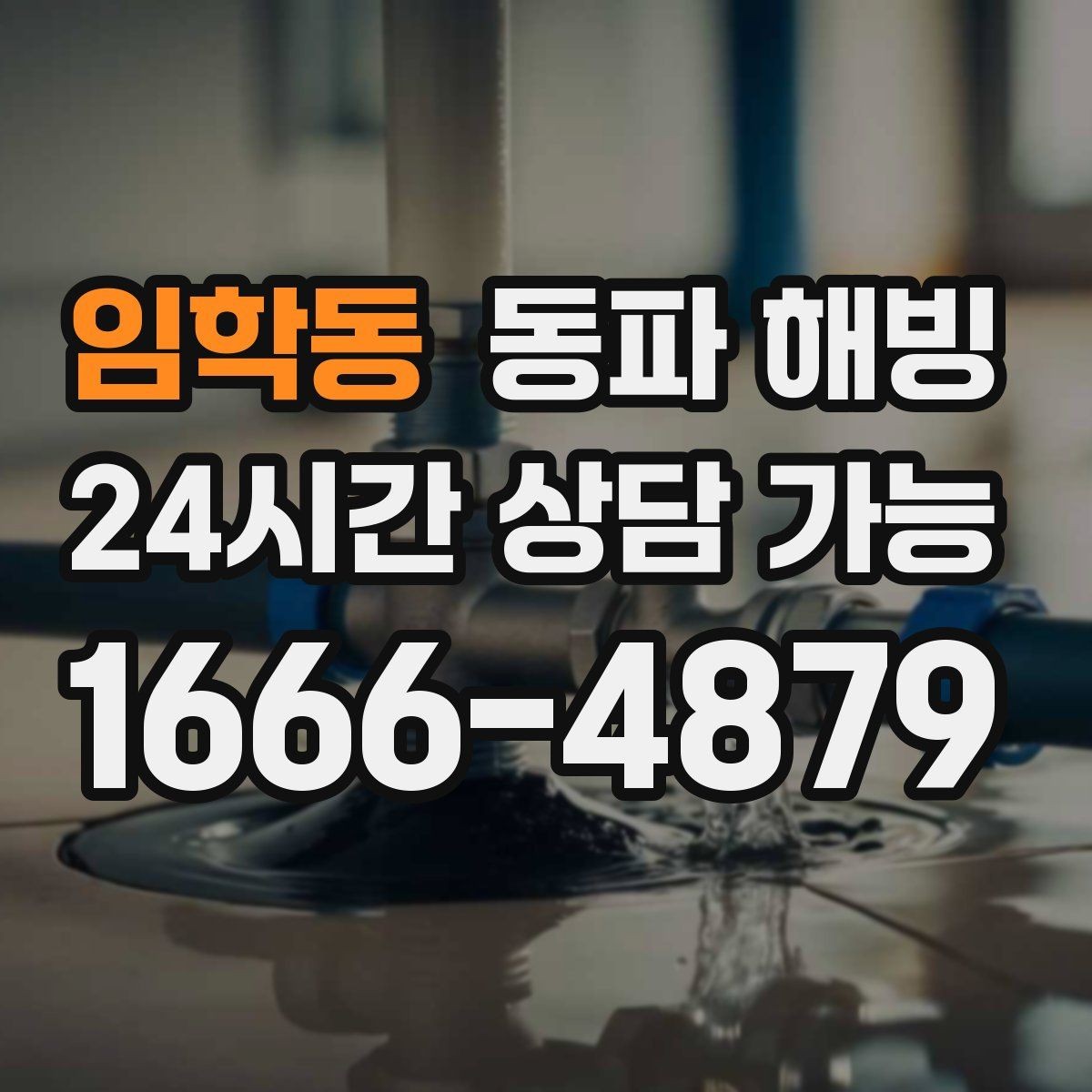 임학동 동파 해빙 아파트 베란다 결빙이 잦은 집 특징