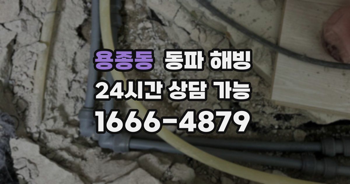 용종동 동파 해빙