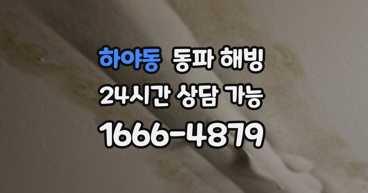 하야동 동파 해빙