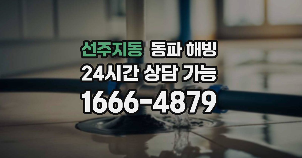 선주지동 동파 해빙