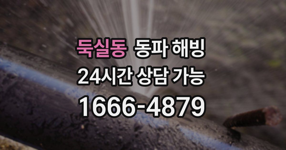 둑실동 동파 해빙