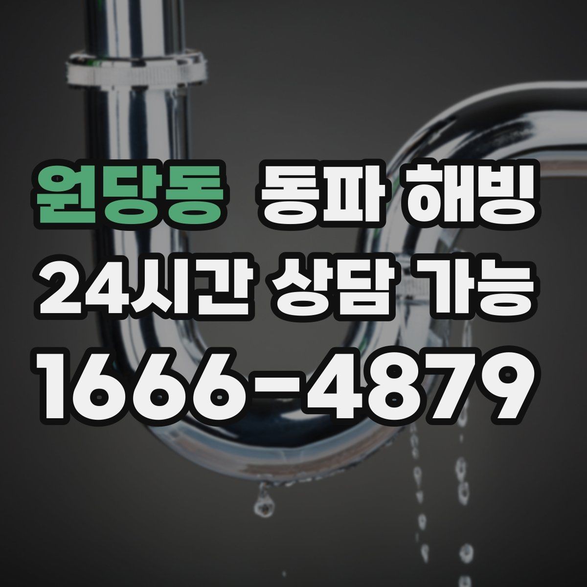 원당동 동파 해빙 욕실만 막히는 결빙 패턴 정리
