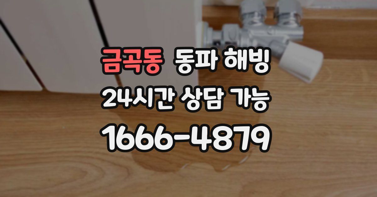 금곡동 동파 해빙