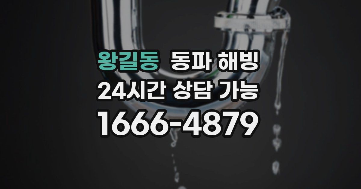 왕길동 동파 해빙
