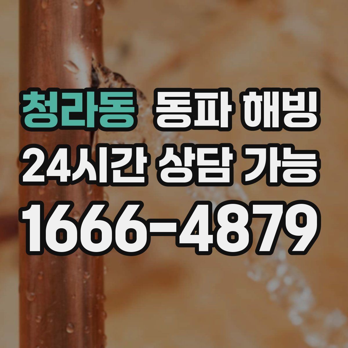 청라동 동파 해빙 현장 점검이 어떤 순서로 진행되는지