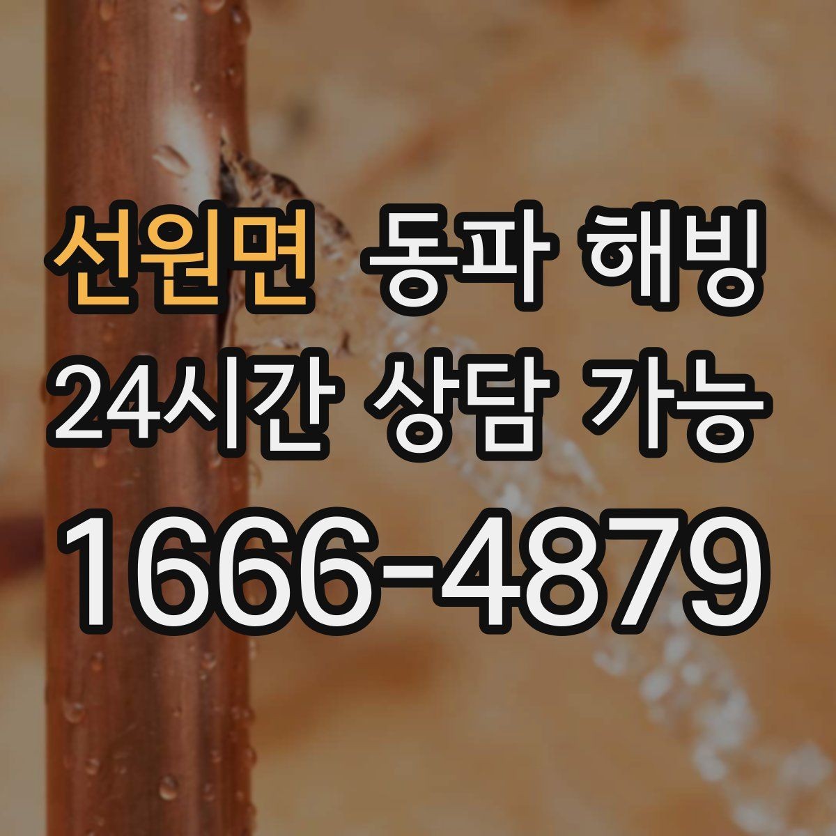 선원면 동파 해빙 계량기만 얼었을 때 나타나는 신호