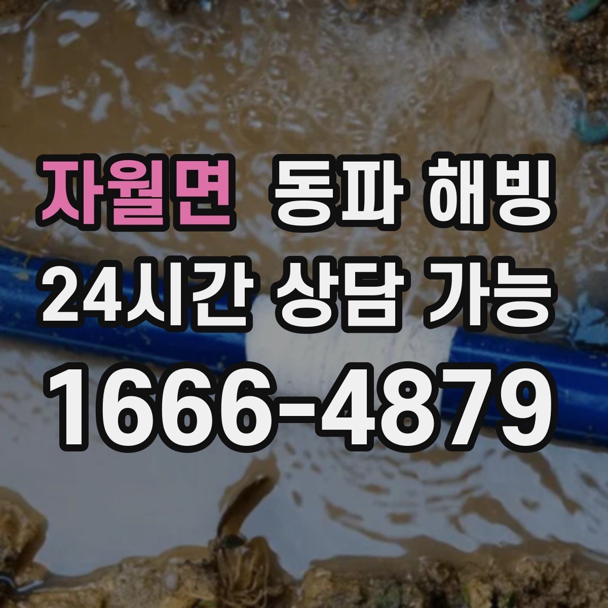 자월면 동파 해빙 외부 수도만 막히는 결빙 패턴 정리