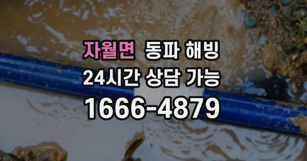 자월면 동파 해빙