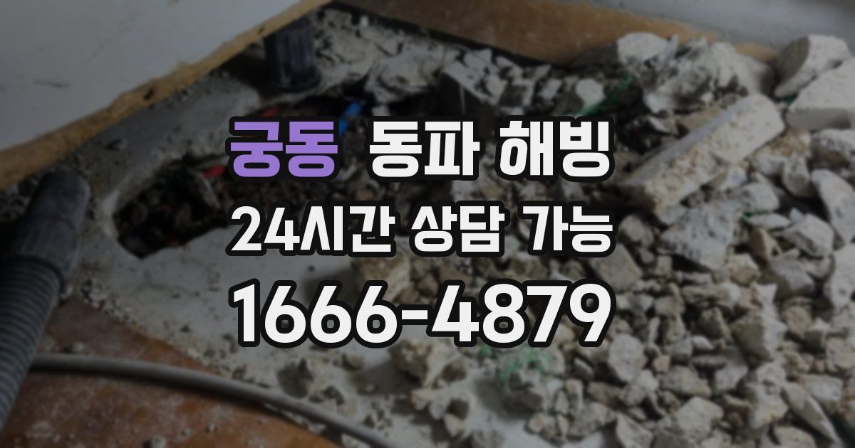 궁동 동파 해빙