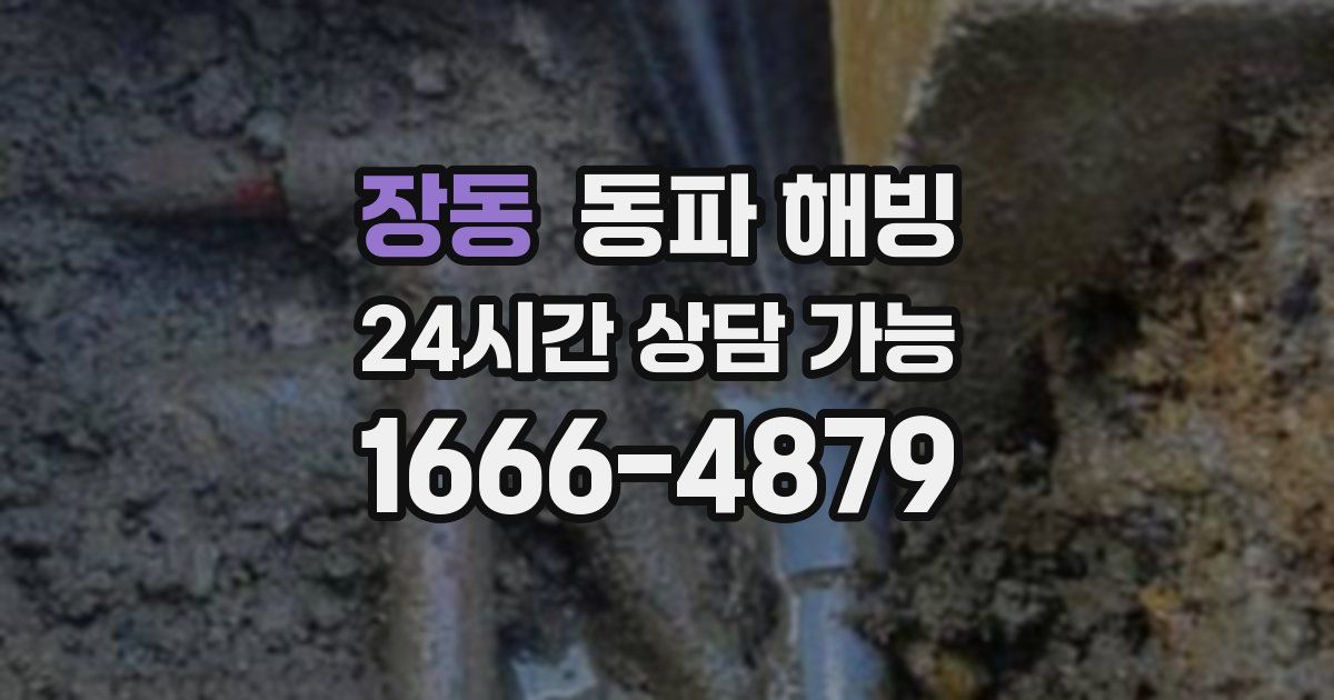 장동 동파 해빙