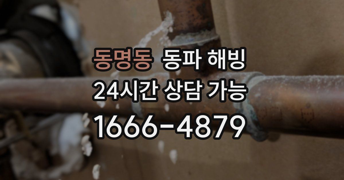 동명동 동파 해빙