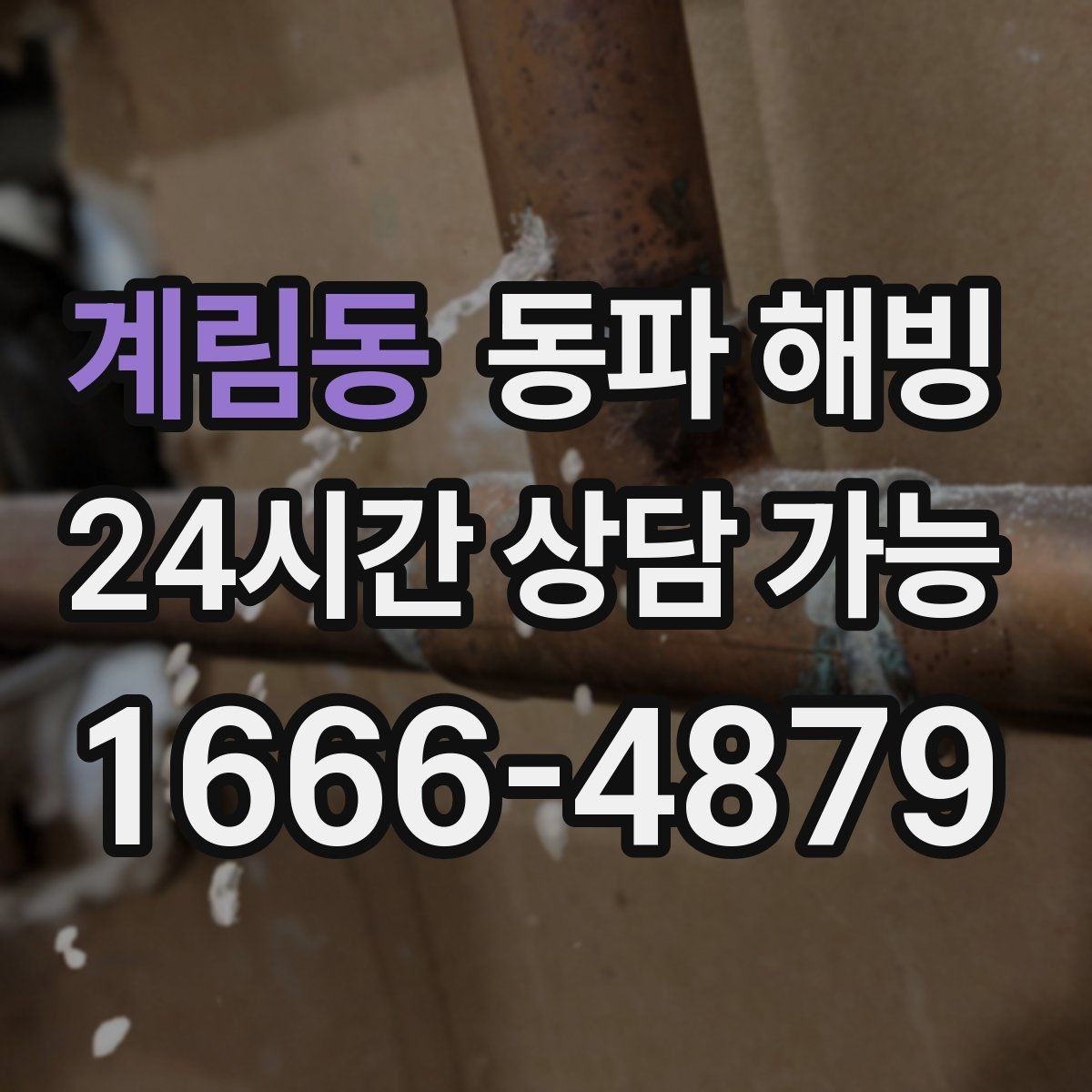 계림동 동파 해빙 급수는 되는데 온수만 약할 때 정리