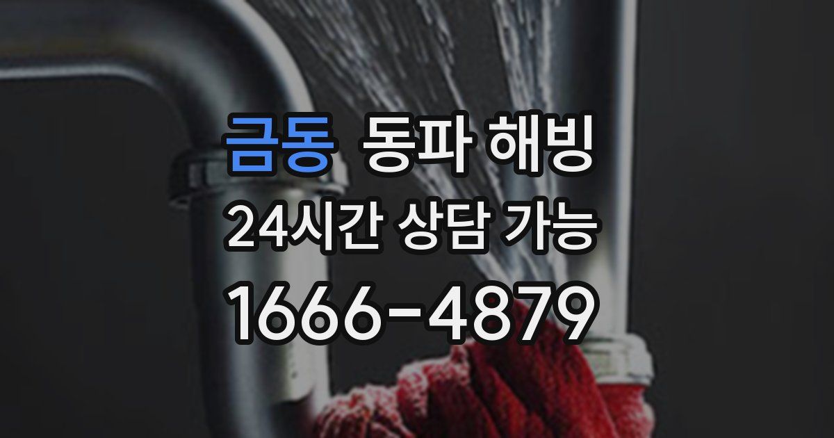 금동 동파 해빙