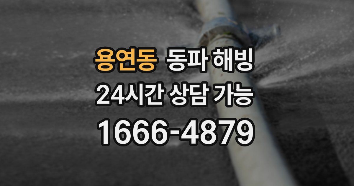 용연동 동파 해빙