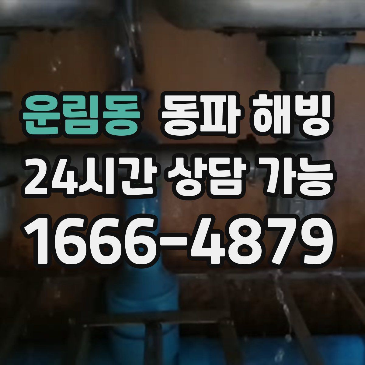 운림동 동파 해빙 급수 라인과 온수 라인 결빙 차이