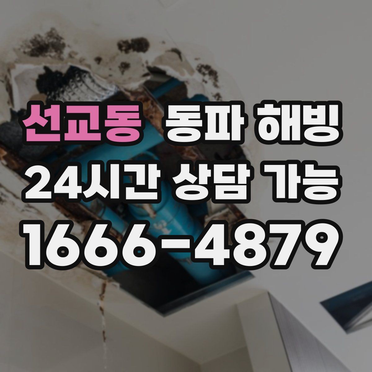 선교동 동파 해빙 식당 급수 문제로 급할 때 우선 확인