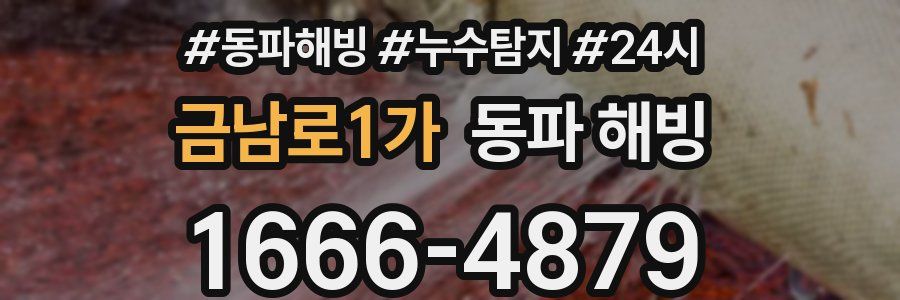 금남로1가 동파