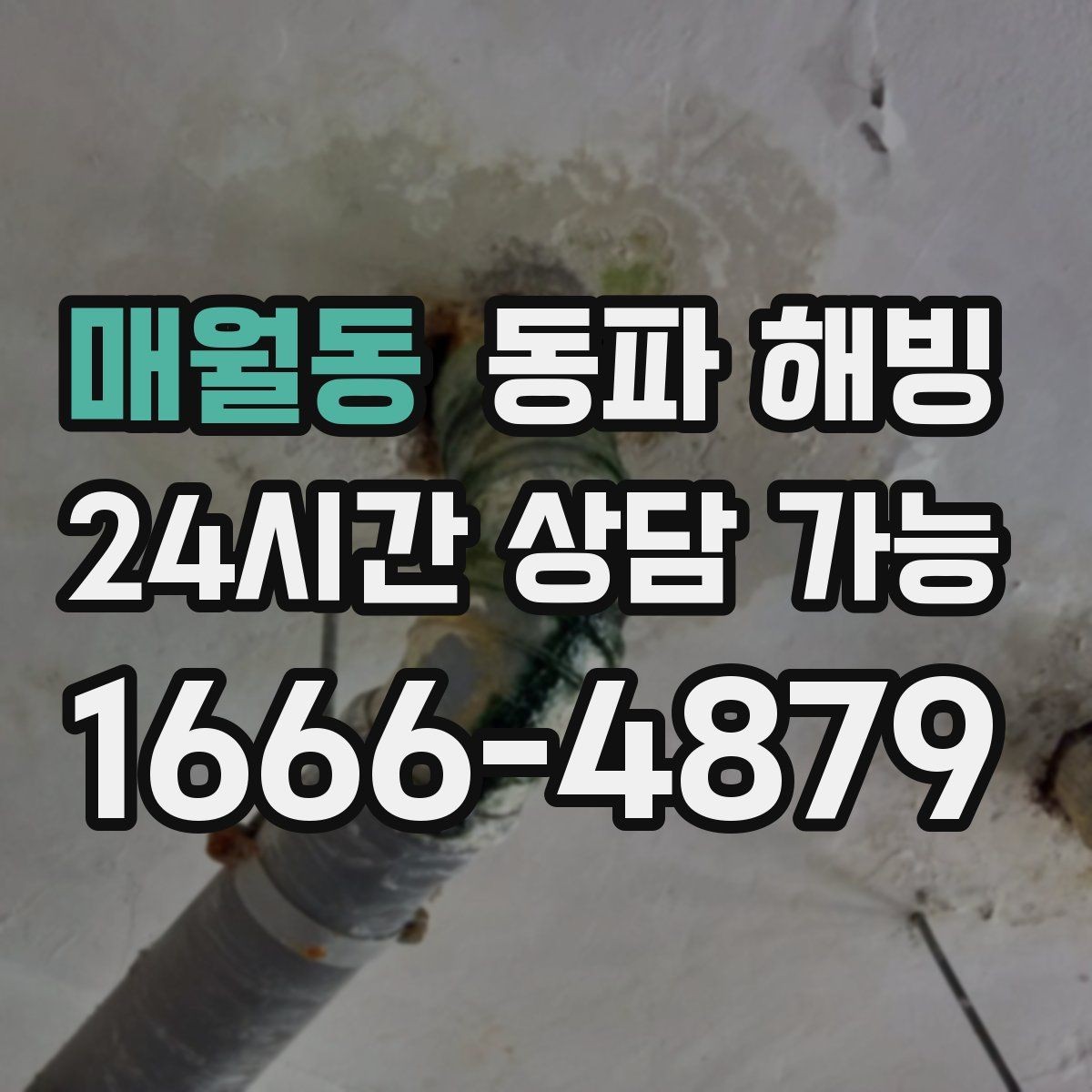 매월동 동파 해빙 주방 결빙이 반복되는 집 특징