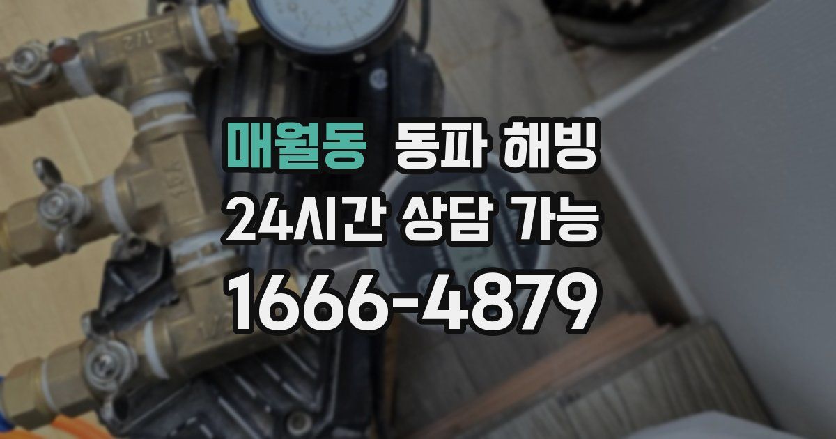 매월동 동파 해빙