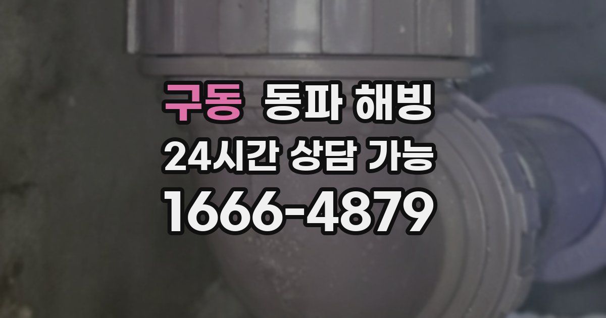 구동 동파 해빙