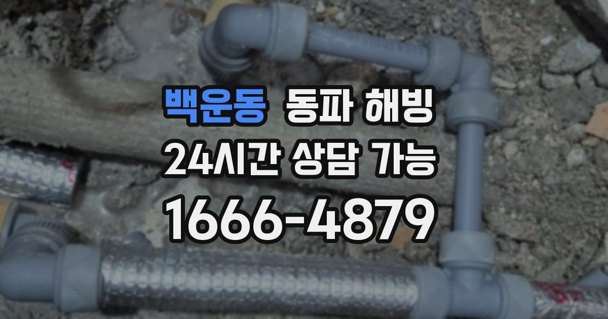 백운동 동파 해빙