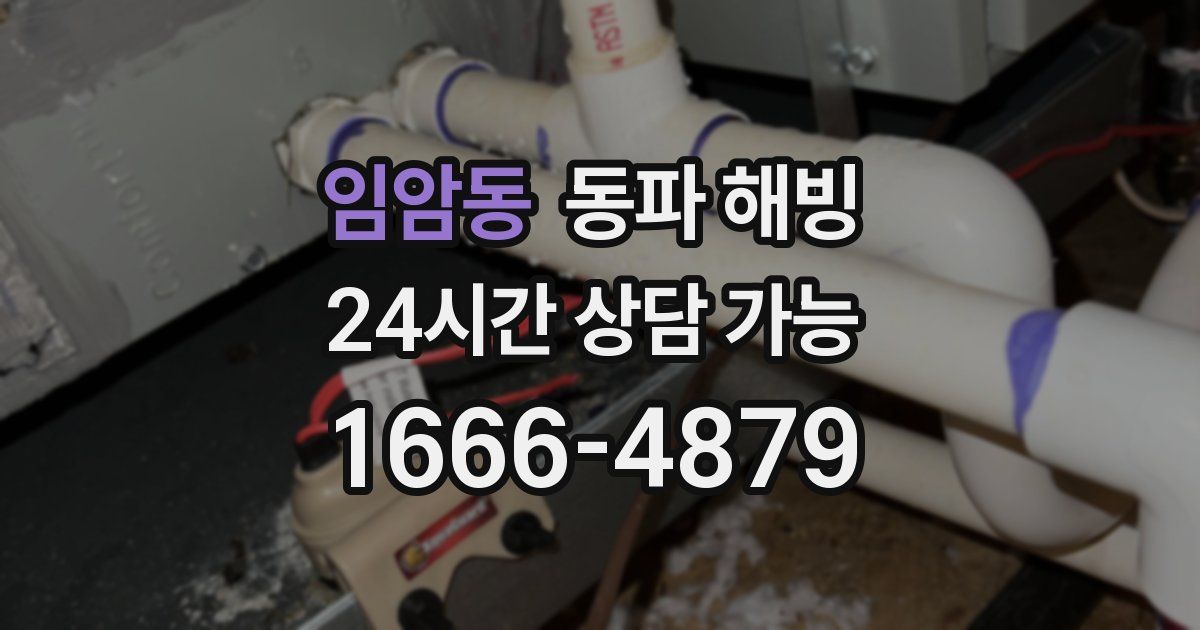 임암동 동파 해빙