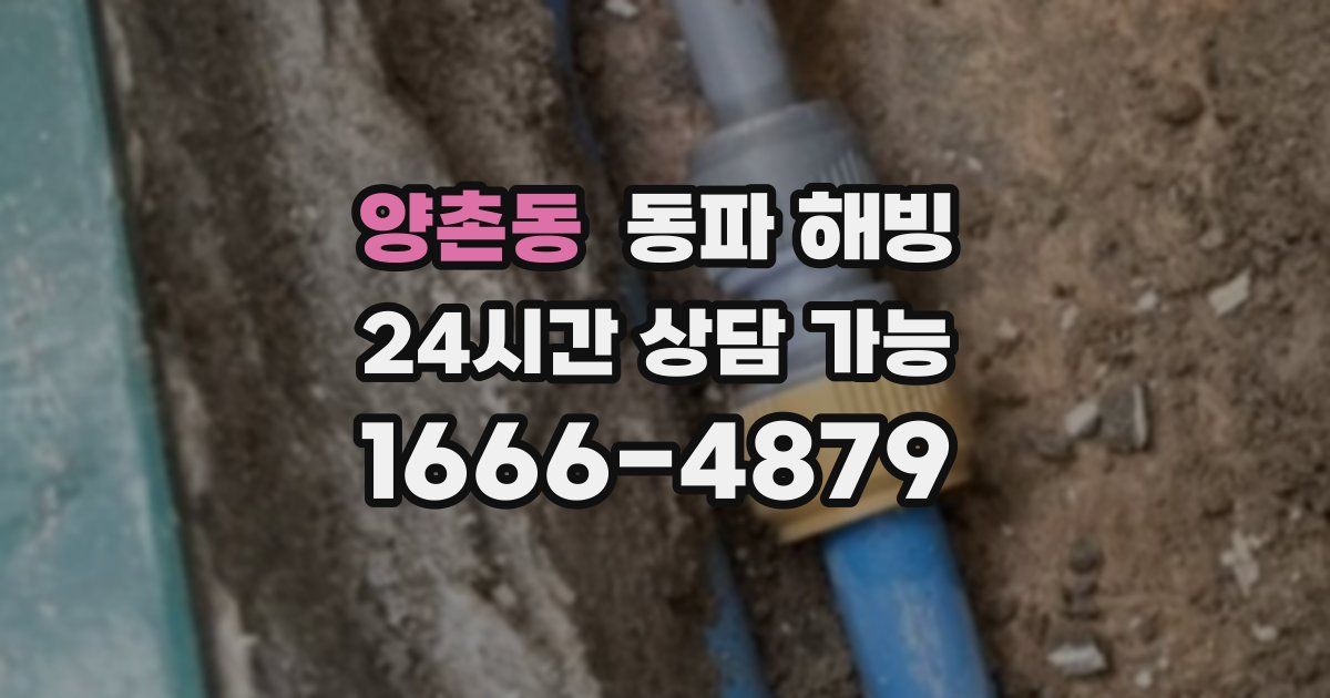 양촌동 동파 해빙