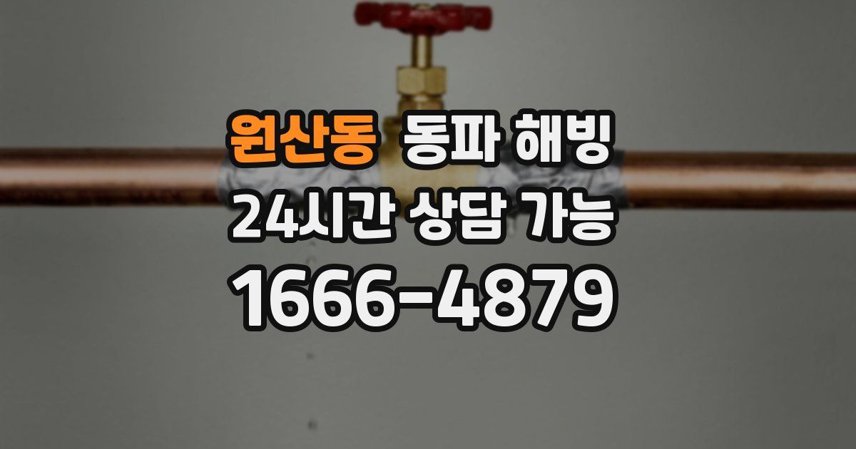 원산동 동파 해빙