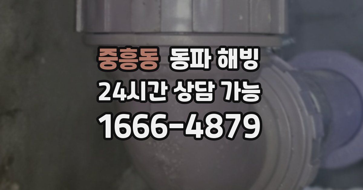 중흥동 동파 해빙