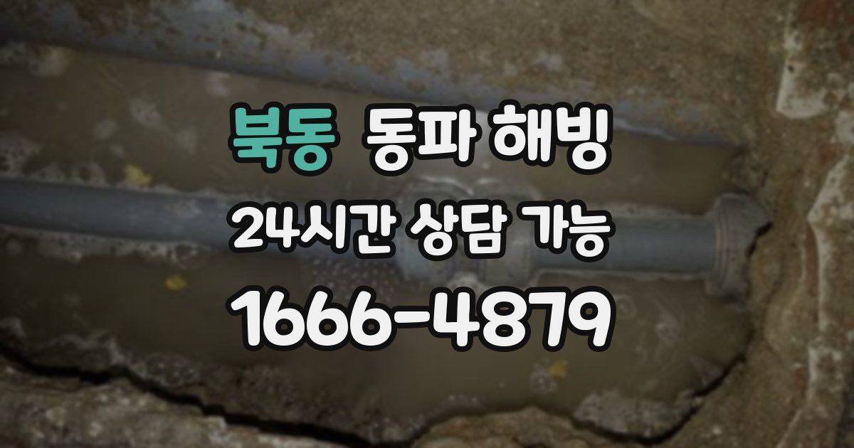 북동 동파 해빙