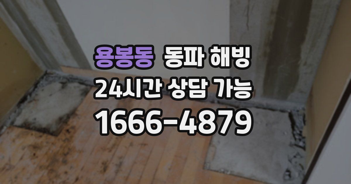 용봉동 동파 해빙