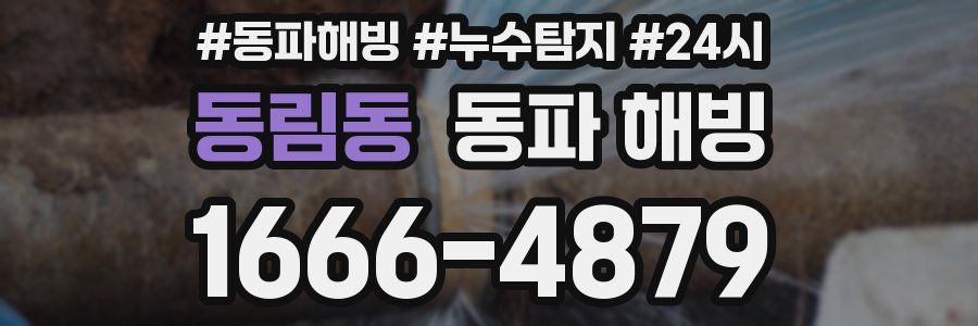동림동 동파