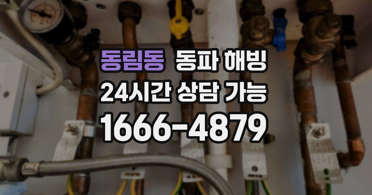 동림동 동파 해빙