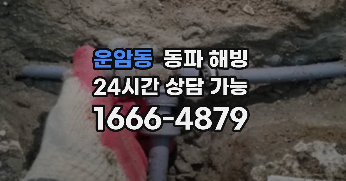 운암동 동파 해빙