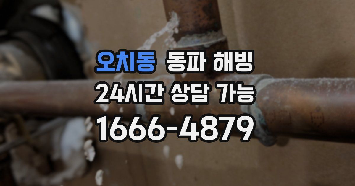 오치동 동파 해빙