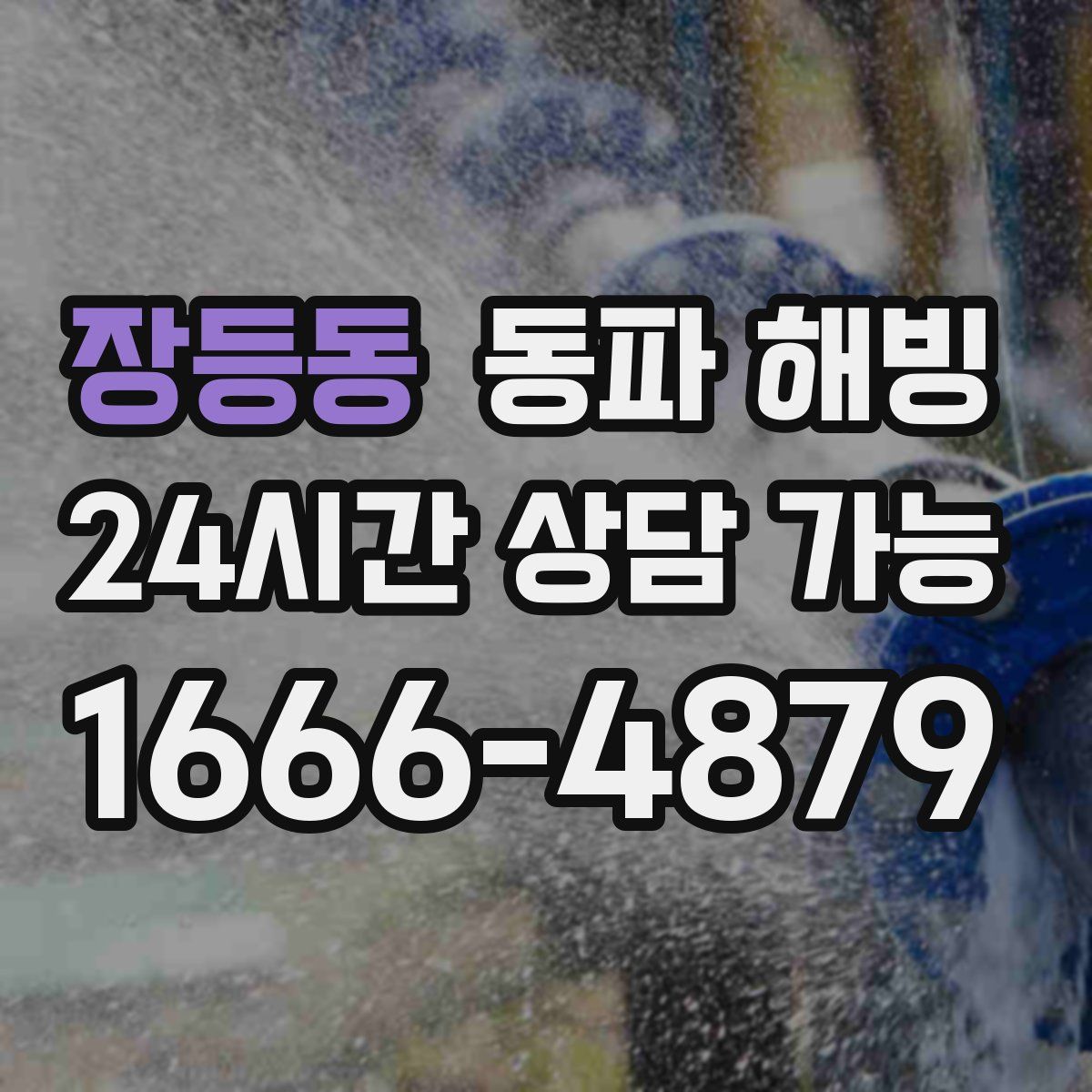 장등동 해빙